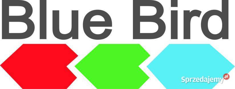 WIERTNICA SPALINOWA DWUOSOBOWA T170HO BLUEBIRD Opalenica