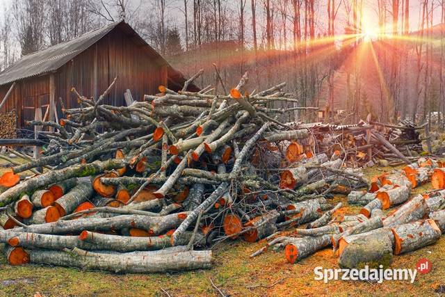 Drewno do wędzenia OLCHA sucha 25 Gorzów Wielkopolski