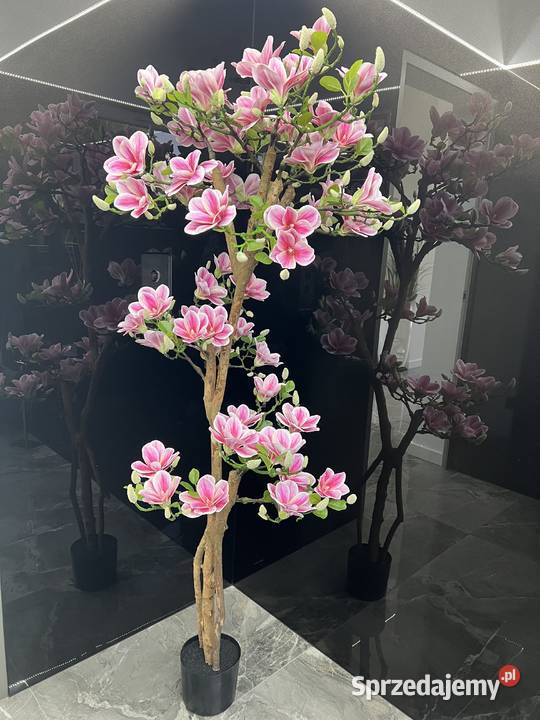 Sztuczne drzewko magnolii 180 Golkowice sprzedam