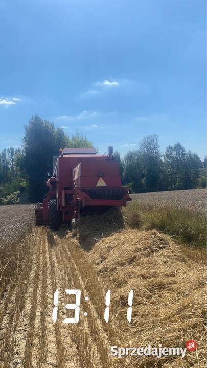 Bizon Opatów sprzedam