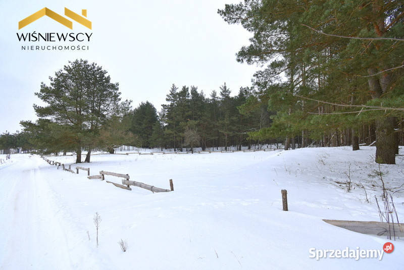 Działka 3001 m2 lesie budowlana uzbrojona