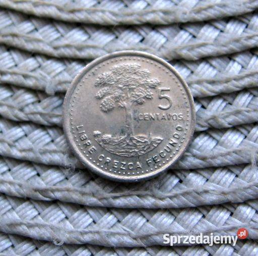 Gwatemala 5 Centavos 1988r Kalisz sprzedam