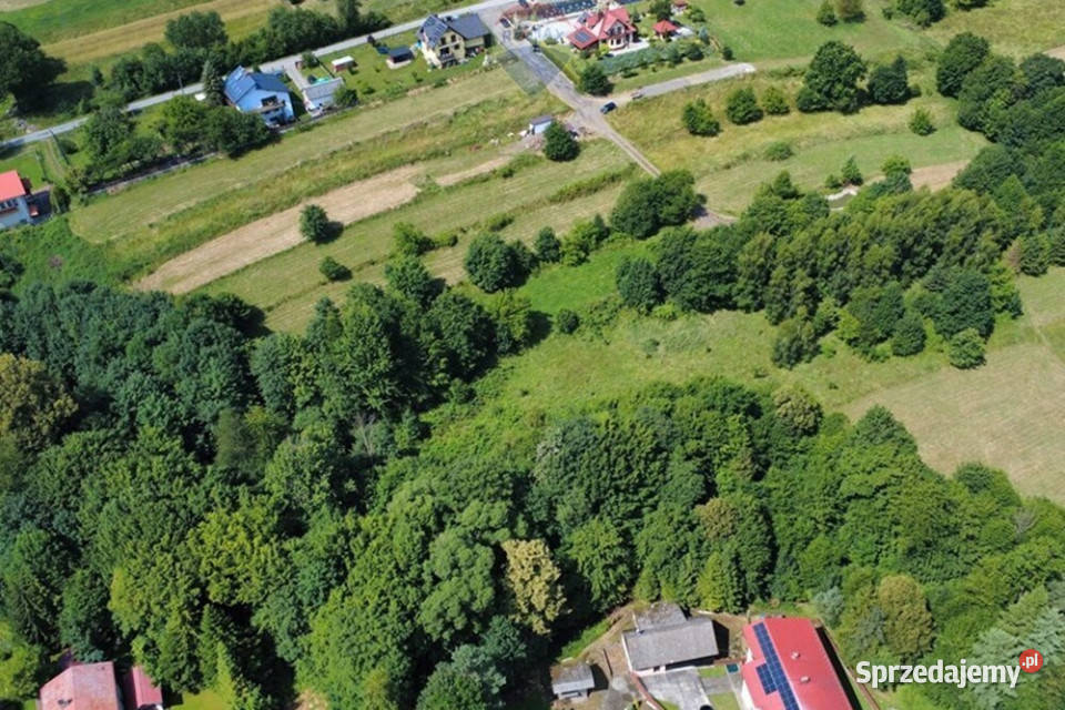 Działki rolne w Gilowicach Sprzedaż Gilowice