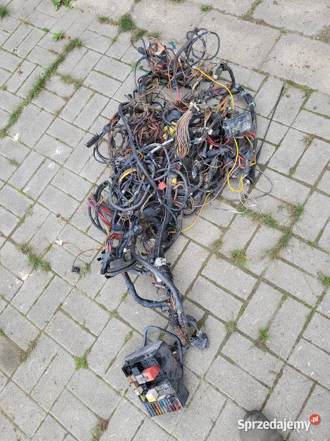 Ford Sierra Scorpio wiązka elektryczna osobowe Otomino sprzedam