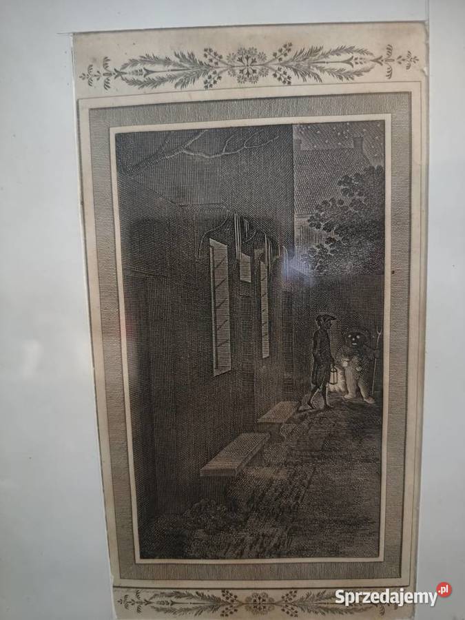 Grafika miedzioryt XVIIIXIX wiek Daniel sprzedam