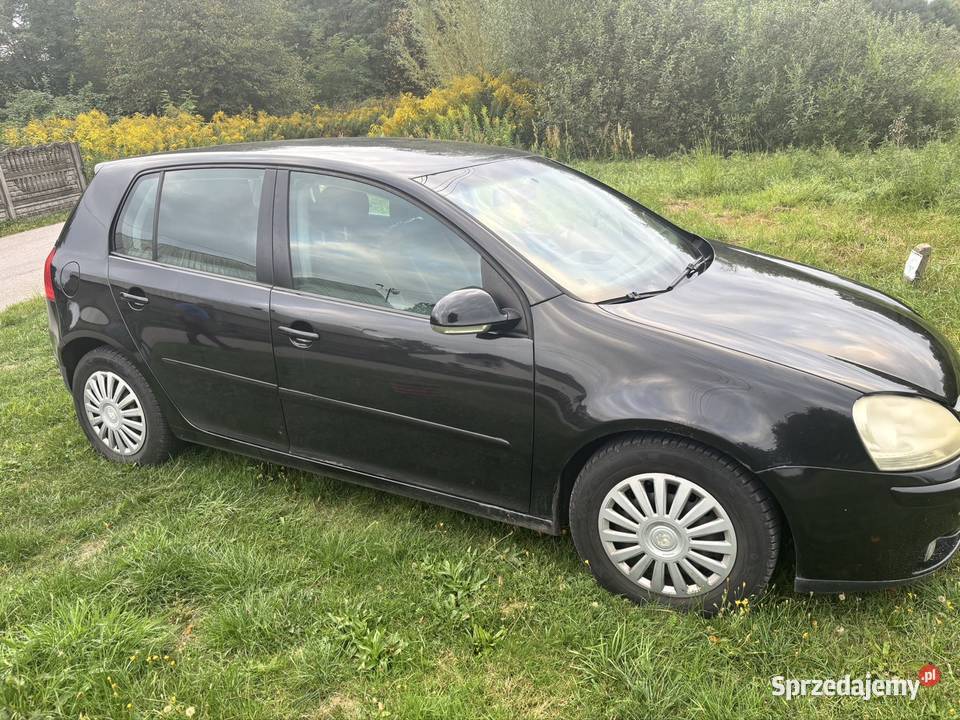 Golf 5 14 b 2004r benzyna Zwoleń