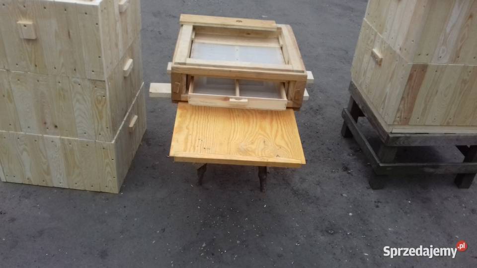 Ule Wielkopolskie Śliwice