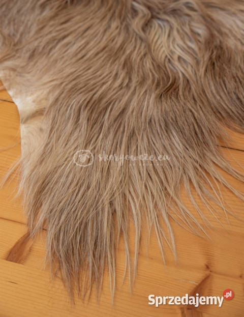 Skóra z kozy kozia skóra kozia skóra dekoracyjna małopolskie Szaflary
