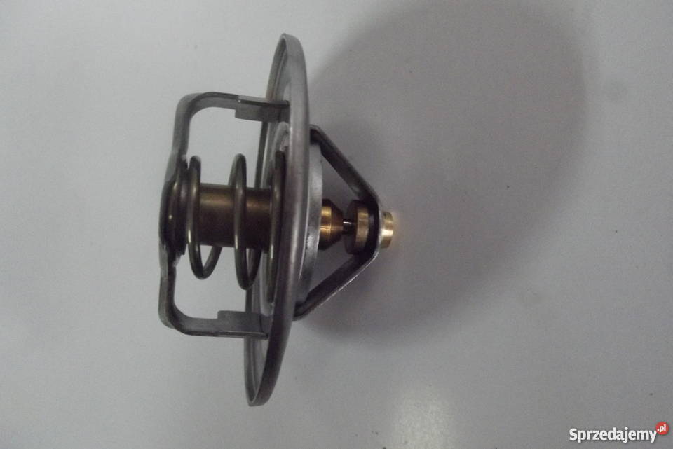 Termostat silnik SW 400 Bizon Parczew