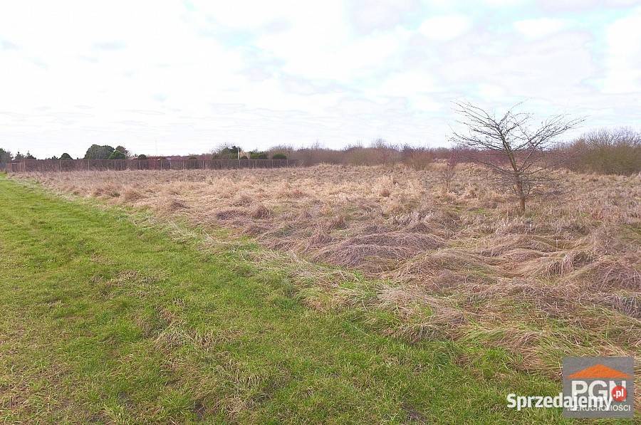 Grunt na sprzedaż 740m2 Niechorze 740m2 Sprzedaż zachodniopomorskie sprzedam