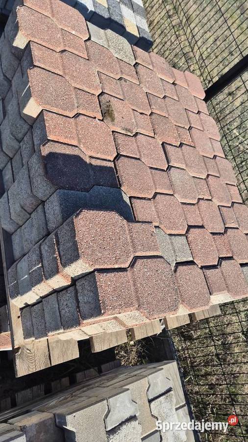 Kostka brukowa młotek Hryniewicze