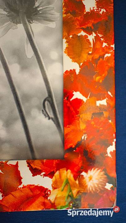 Ramka na zdjęcie z motywem kwiatowym kujawsko-pomorskie Chełmno