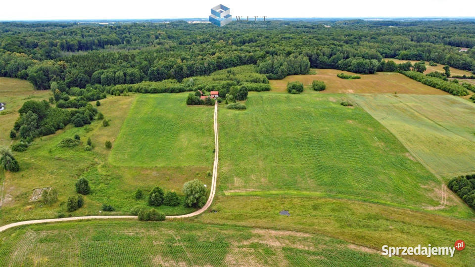 sprzedaży działki Łączno 1503m2 warmińsko-mazurskie