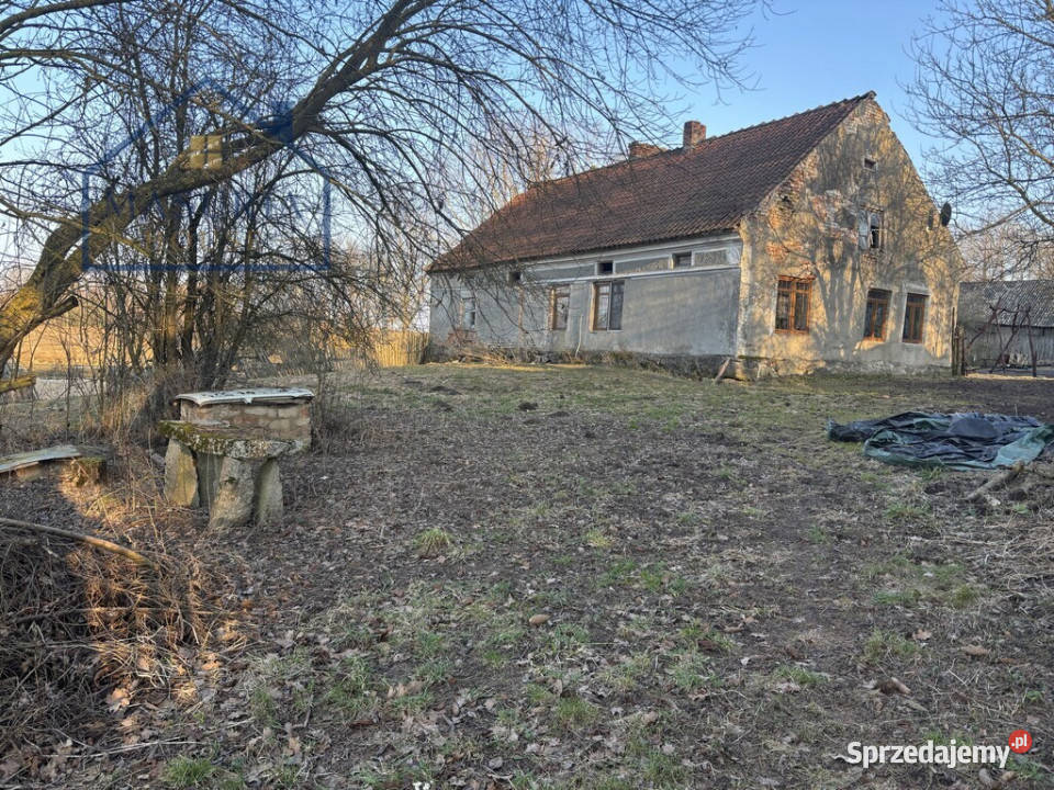 Duża działka rolna w Tłokowie gm Jeziorany Tłokowo