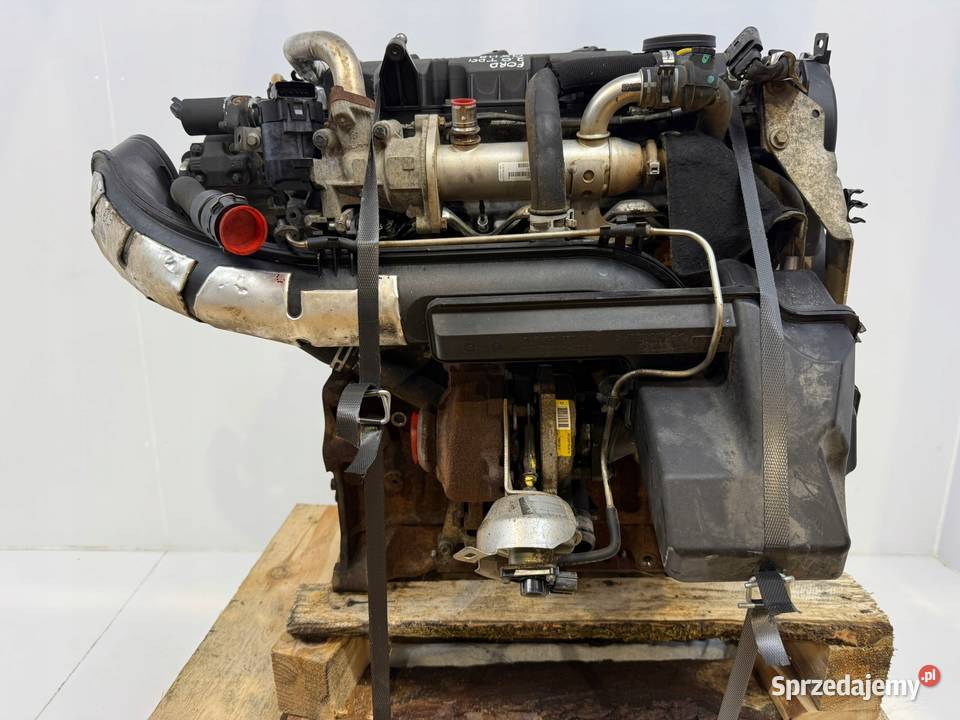 SILNIK QXWB Ford Galaxy II MK2 S S 20 TDCI 140 osobowe Chełm