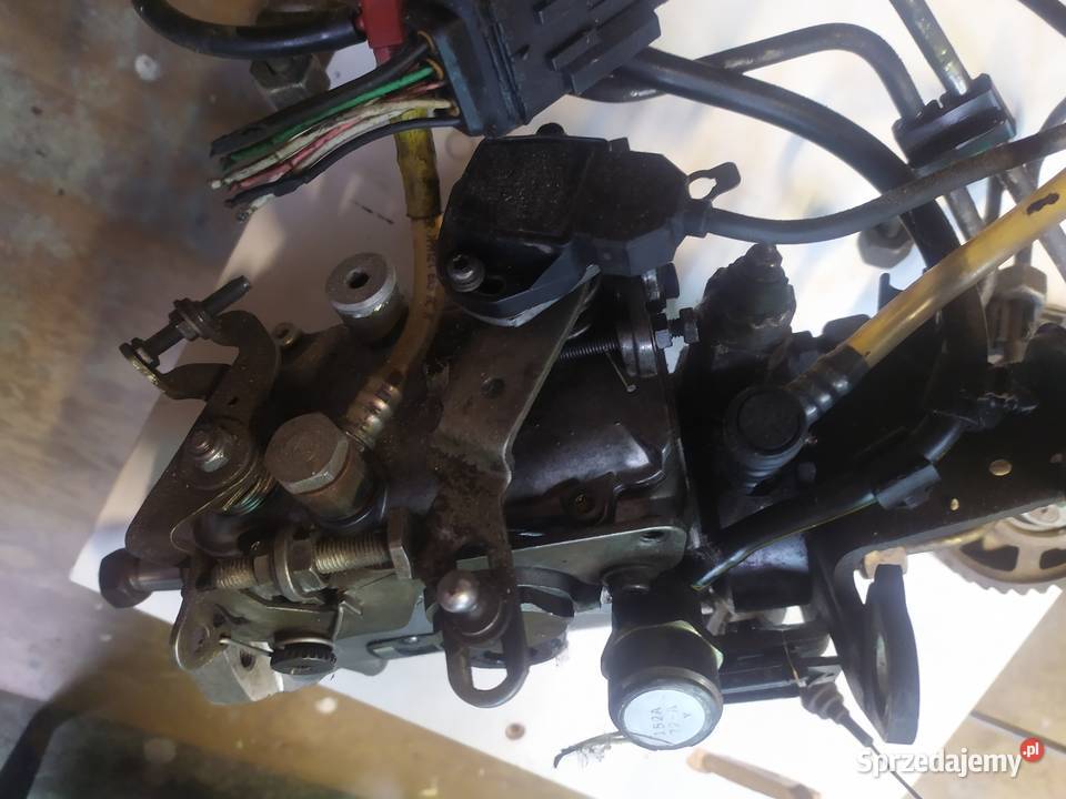Pompa Wtryskowa Renault Kangoo 19 Diesel lubuskie Sulęcin