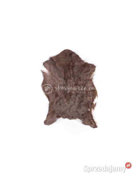 Skóra z kozy kozia skóra kozia skóra dekoracyjna Skóry Szaflary