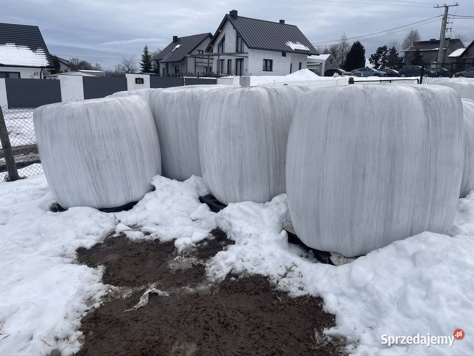 Sianokiszonka Wadowice