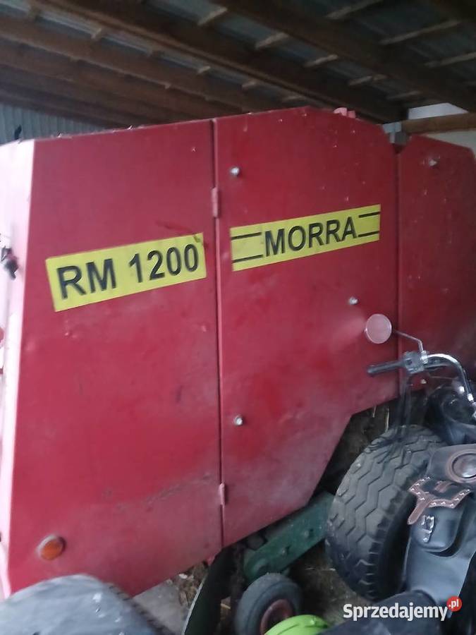 prasa morra Ostrzeszów