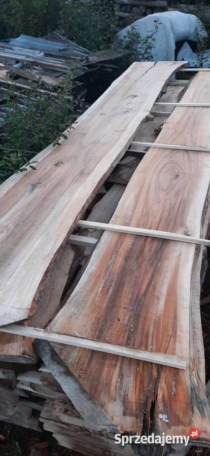 Wiąz deski bale brusy wiązu podkarpackie Rzeszów