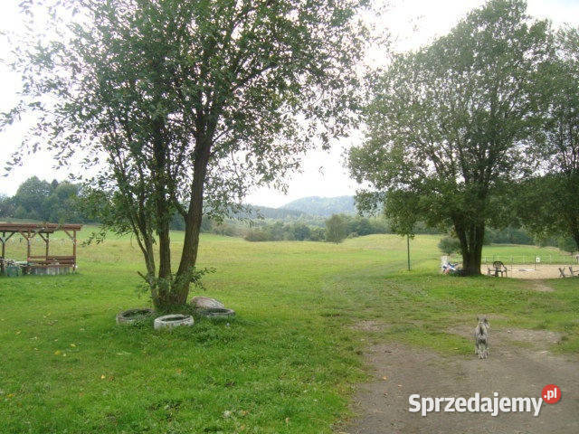 sprzedaży lokalu 500m2 Wałbrzych Sprzedaż