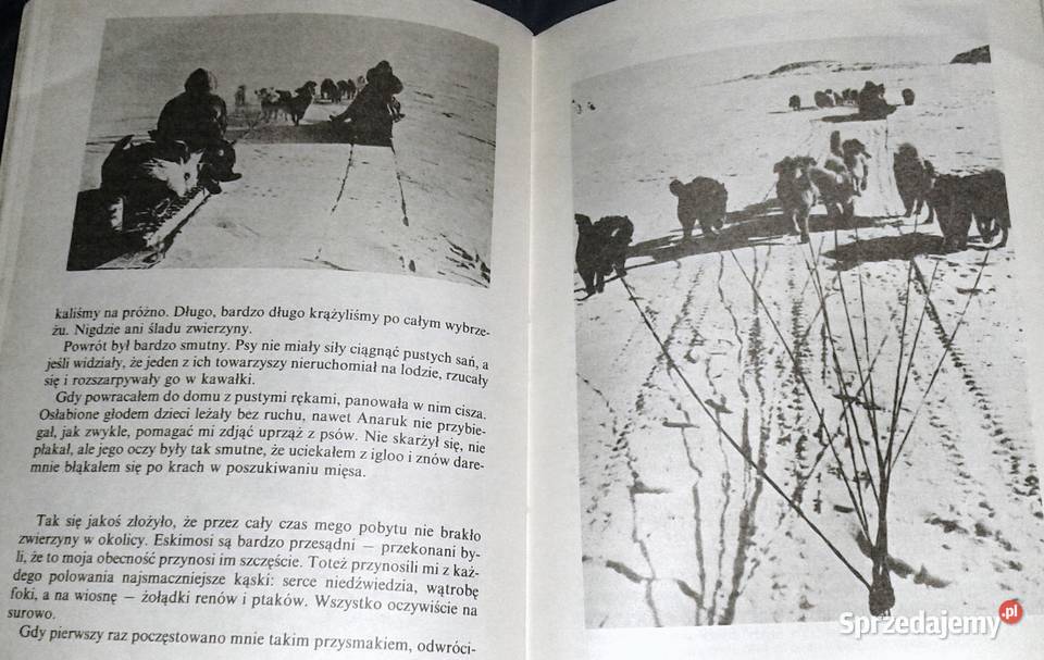 Anaruk chłopiec z Grenlandii Czesław Centkiewicz Rok wydania 1988 Książki i Podręczniki