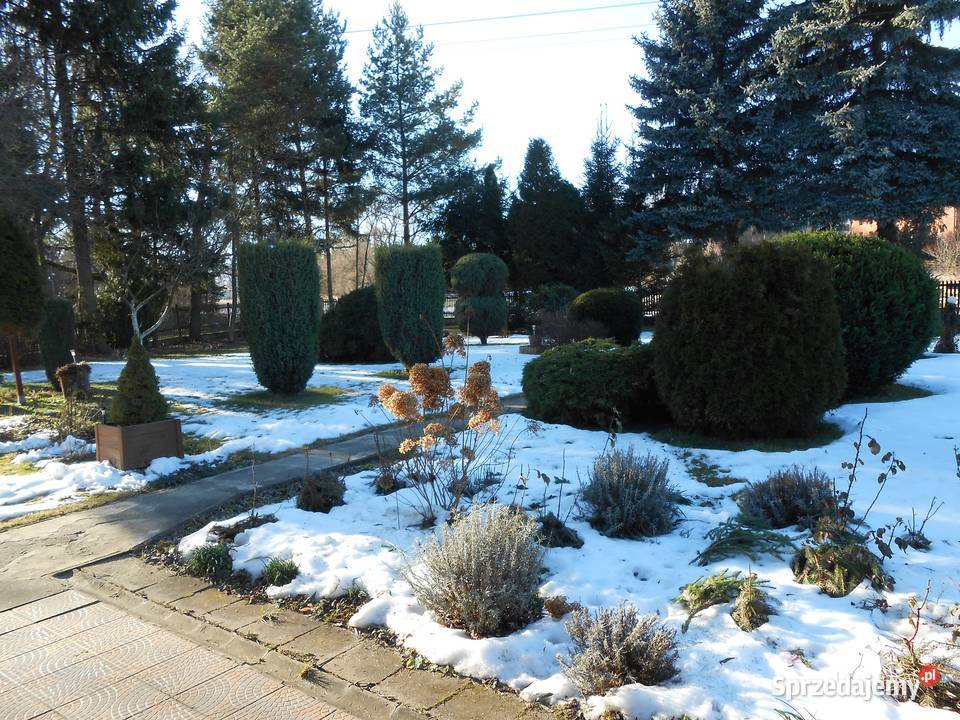 Kamienna Góra dom z ogrodem garażdziałka dolnośląskie