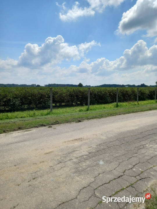 Sprzedam działkę rolnobudowlaną Galomin