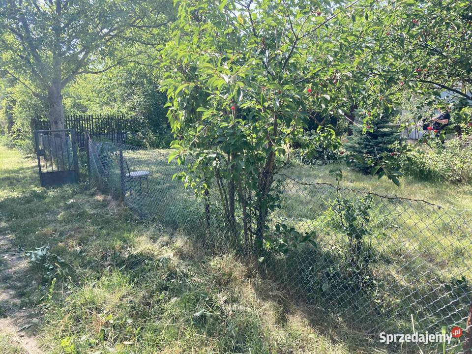 Sprzedam prawo do użytkowania działki ROD w Grunty i działki Warszawa sprzedam