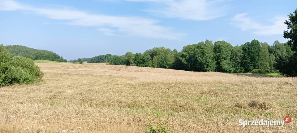 Chmielno Nieruchomości