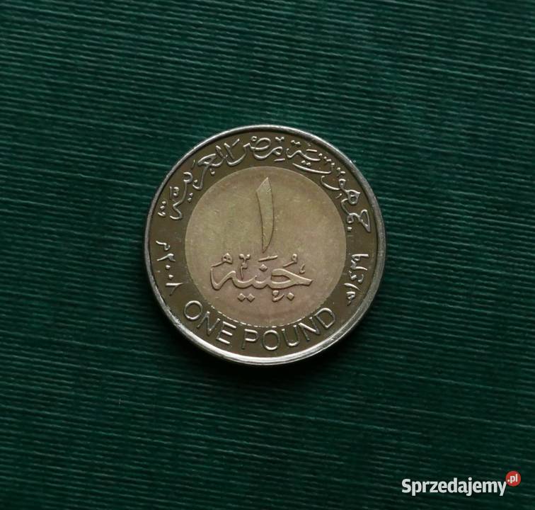 EGIPT 1 funt 2008r Numizmatyka śląskie Gliwice sprzedam