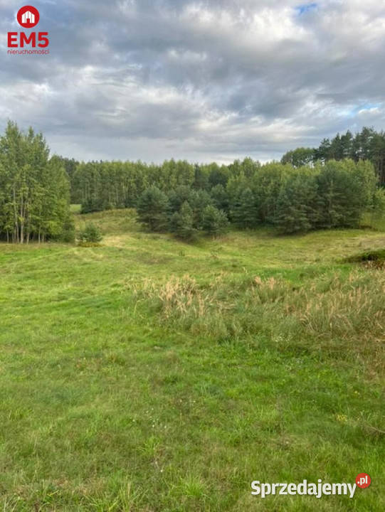 Do sprzedaży działka Hołny Wolmera 950317m2