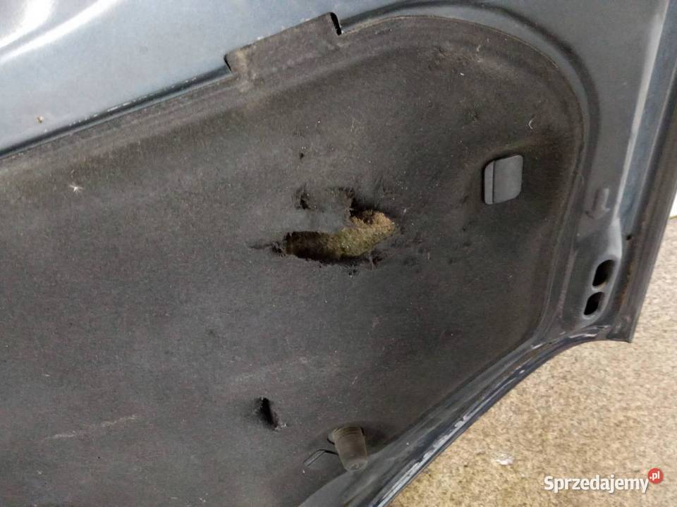 MASKA PRZÓD SZARA LIFT FL Ford C I 20032010 sprzedam