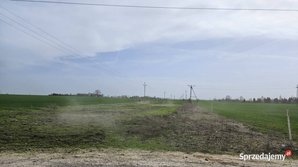 działka Stare Boryszewo 2505 mkw wszystkie