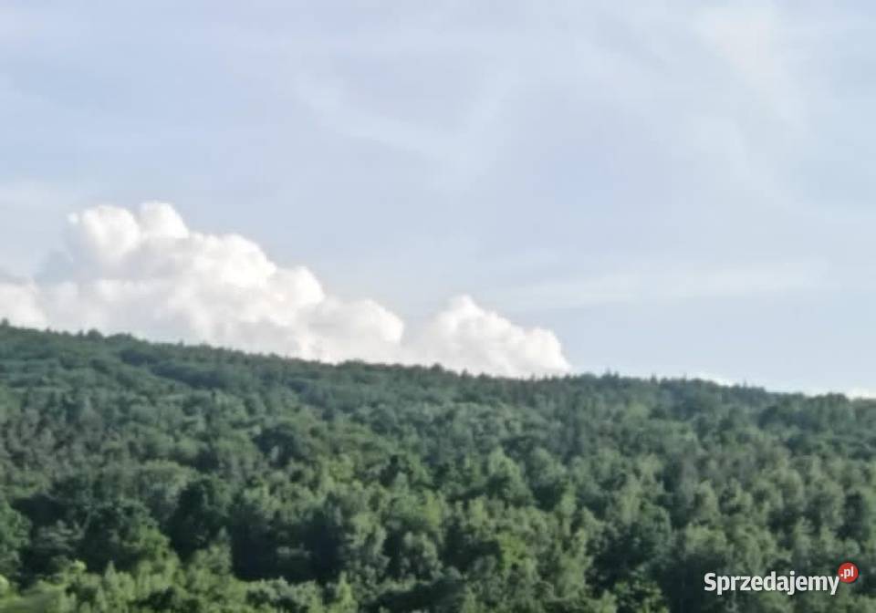 Lipnica Dolna 7 hektarów 33 ary dwie działki