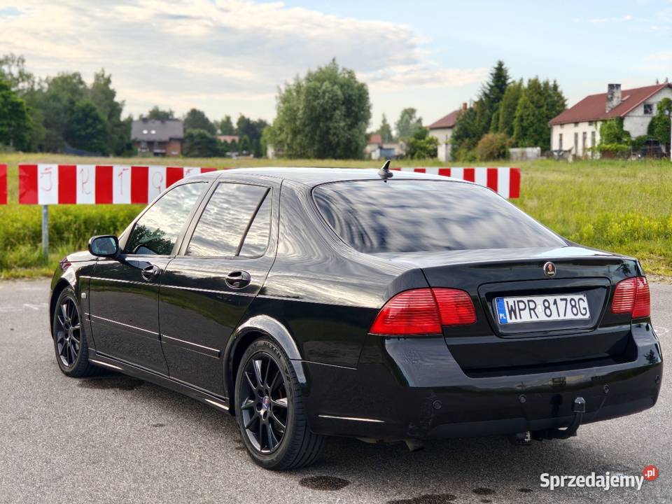 Saab 95 vector Radzymin
