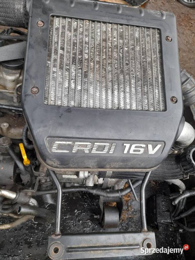 HYUNDAIKIA 20 CRDI20Tci silnik na czesci dawca Jastrzębia Góra