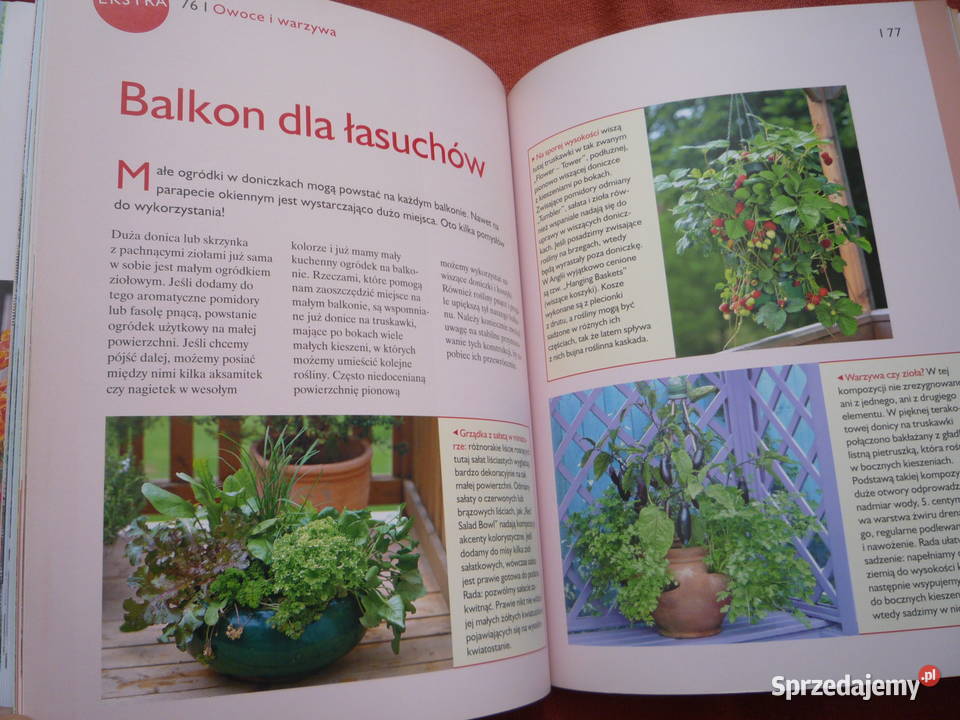 Nowa Balkony Piękne Ogrody Poradnik Poradniki, albumy i reportaże