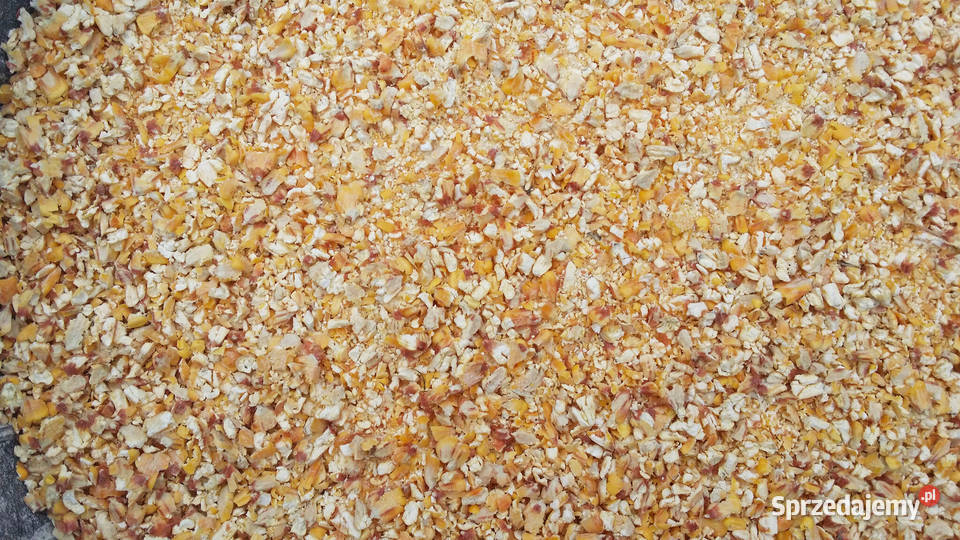 Pasza kur niosek naturalna gnieciona karma Jodłownik sprzedam