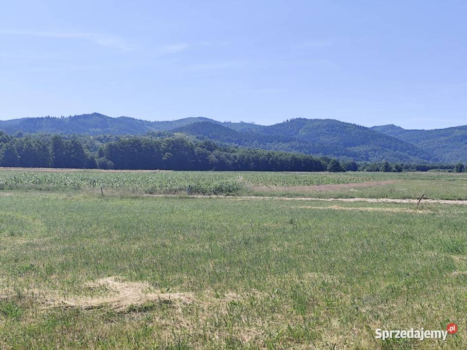 Widokowa działka Radziechowy Sprzedaż