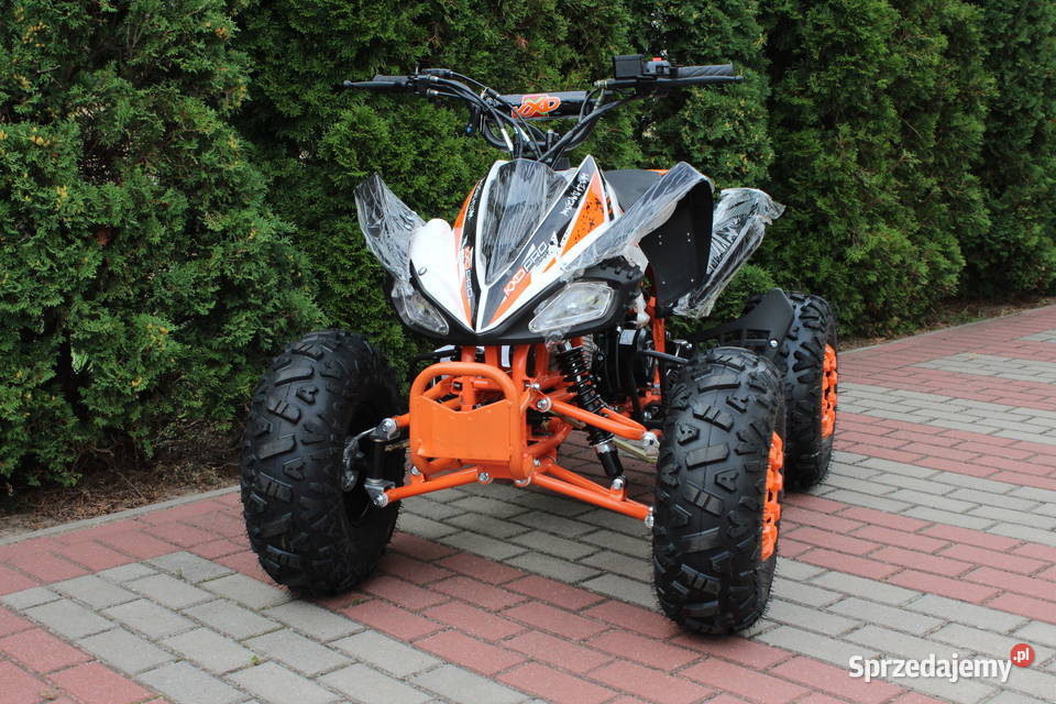 Quad raptor 125 średni 31 dzieci młodzieży zachodniopomorskie Goleniów