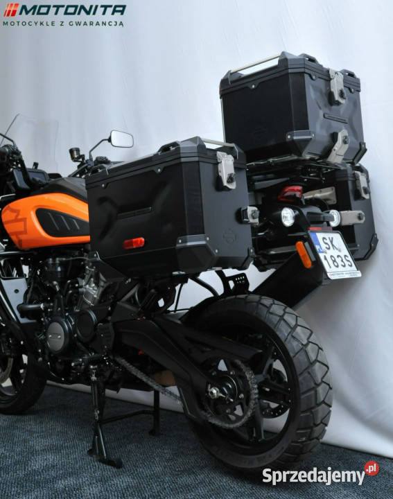 HarleyDavidson Nightster HarleyDavidson Pan Podkowa Leśna