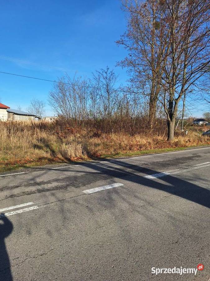 Budzyń Przytyki sprzedam działkę asfalt