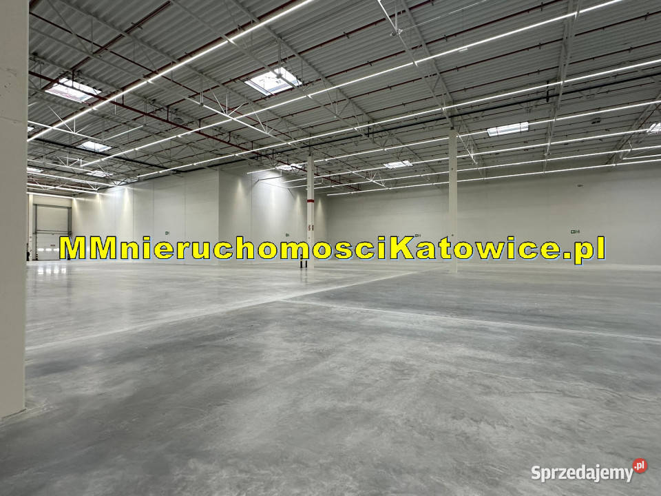 Magazyny Mysłowice A4 i S1 do wynajęcia biura Nieruchomości śląskie sprzedam