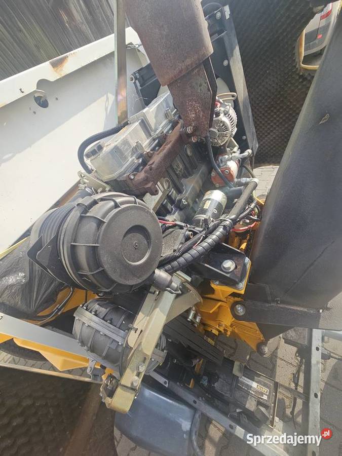 rębak do gałęzi SAELEN COBRA 65 DRI 64 pomorskie Wiele