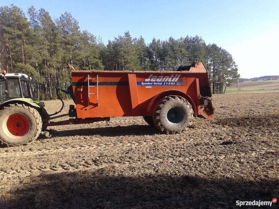 Rozrzutnik Jeantil Wąsosz