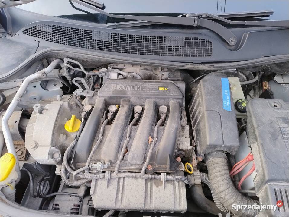 Renault Megane II 14 B 2004 światła przeciwmgielne Strawczyn