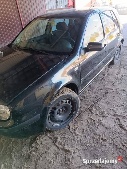 Golf 4 16 benzyna lekko uszkodzony Rok produkcji 2000 Jędrzejów