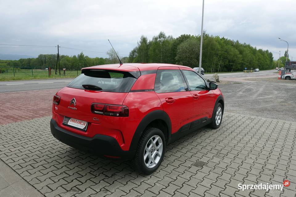 12T 110 AUTOMAT LIFT BEZWYPADKOWY C4 Cactus Buczkowice