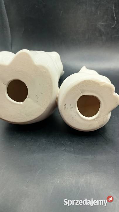 Para białych kotów Rosa Ljung Helsingborg Zamość